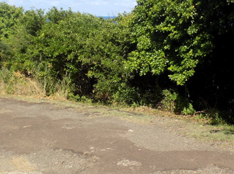 Fort Jeudy Land for sale Grenada - Eden Solutions