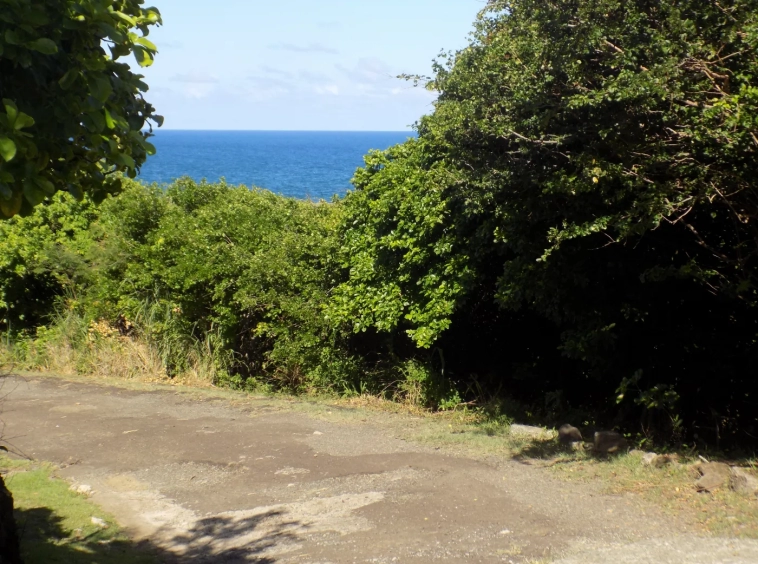 Fort Jeudy Land for sale Grenada - Eden Solutions