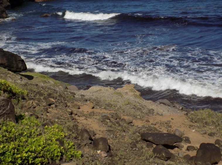 Fort Jeudy properties in Grenada