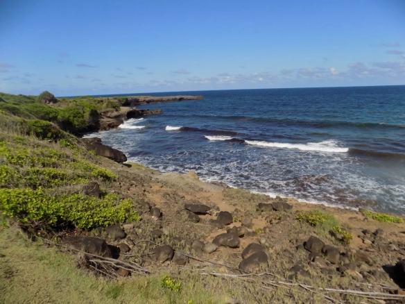 Beach Front Property Grenada - Fort Jeudy Land for sale Grenada - Eden Solutions