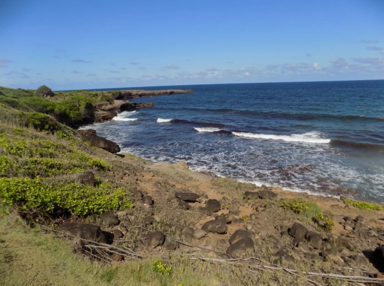 Beach Front Property Grenada - Fort Jeudy Land for sale Grenada - Eden Solutions