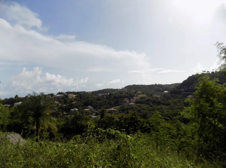 Tete Monde Land for sale Grenada - Eden Solutions