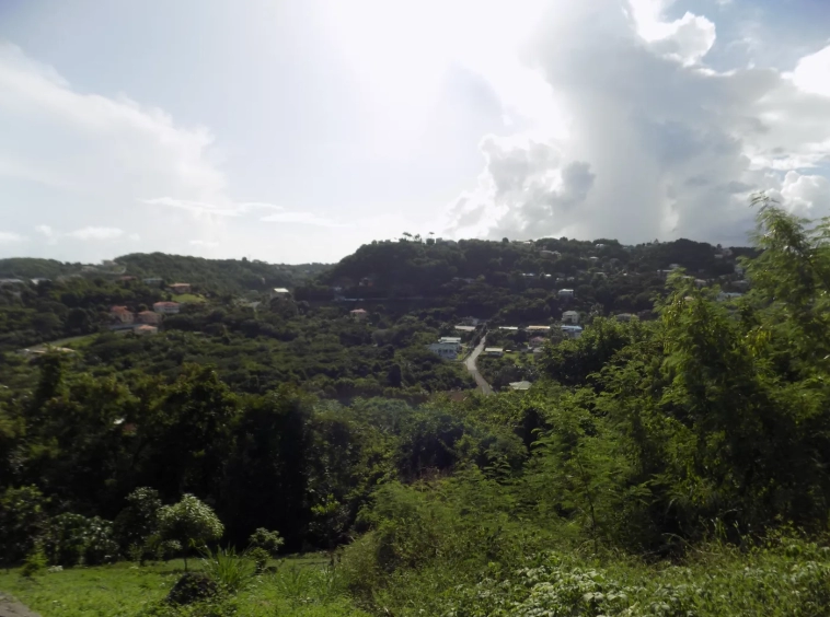 Tete Monde Land for sale Grenada - Eden Solutions