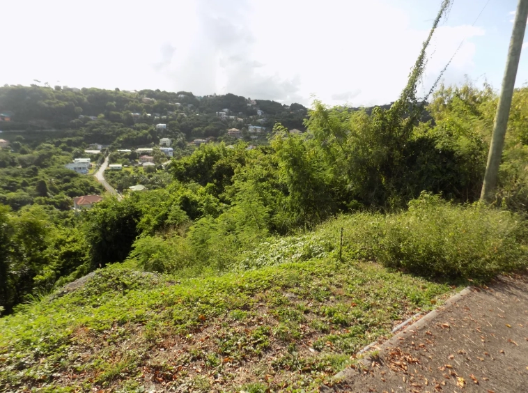 Tete Monde Land for sale Grenada - Eden Solutions