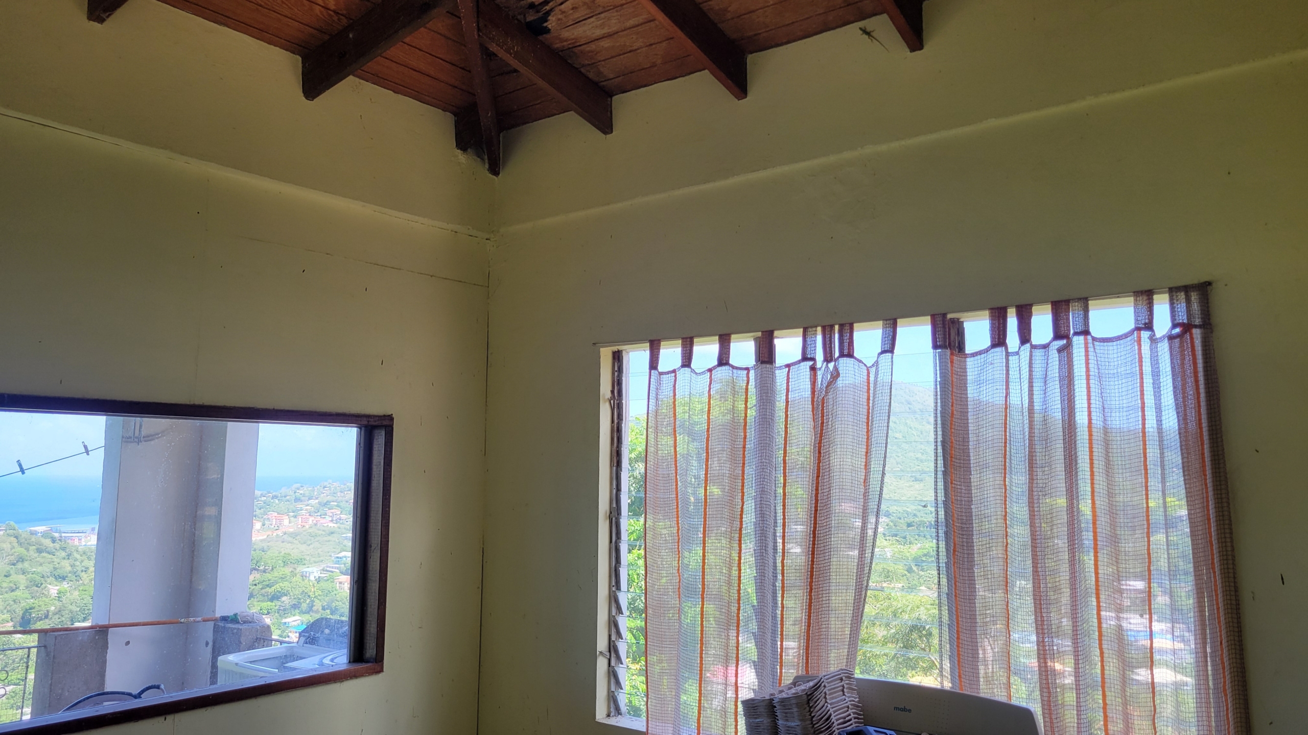 Mt. Parnassus Investment