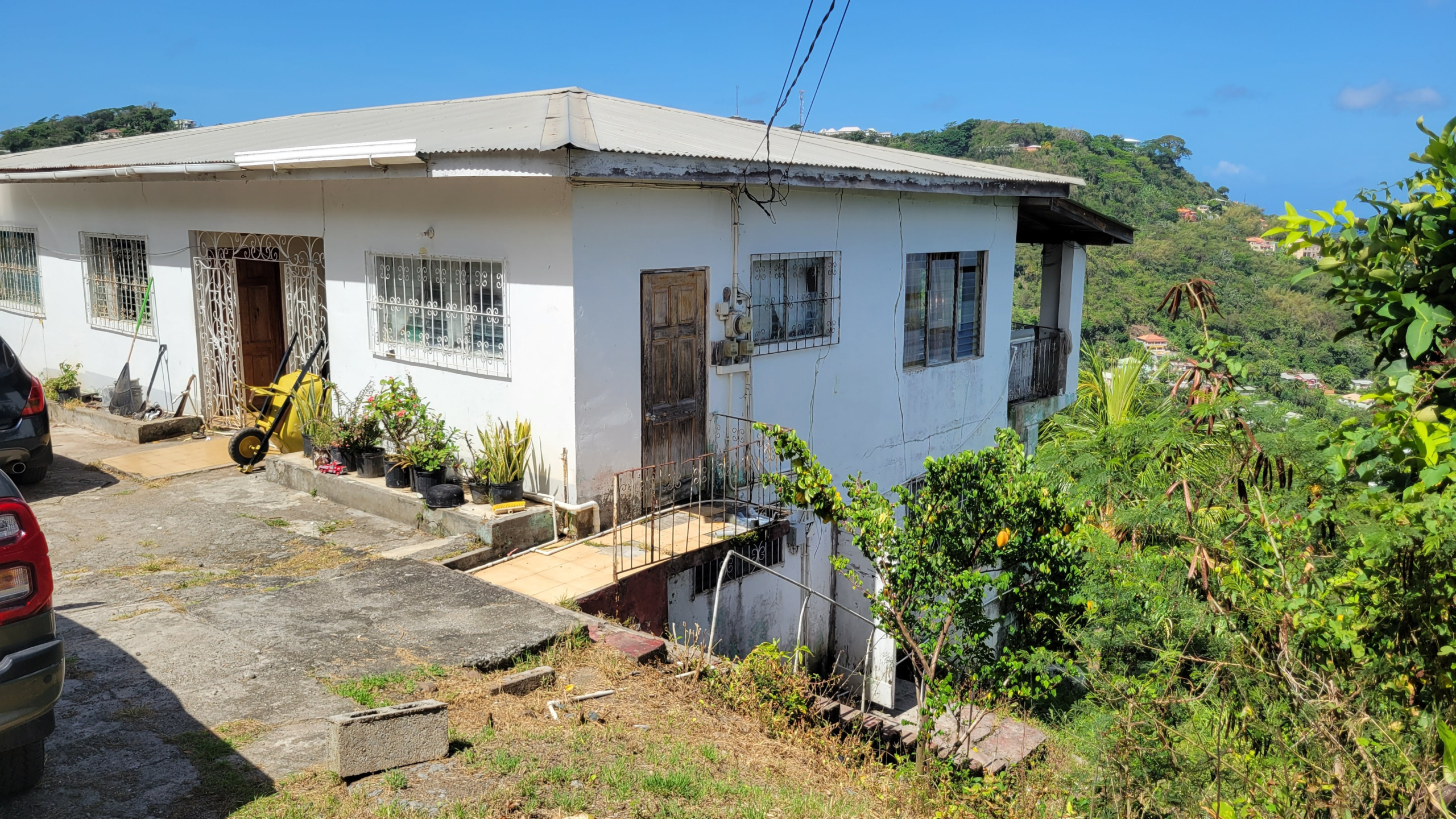 Mt. Parnassus Investment