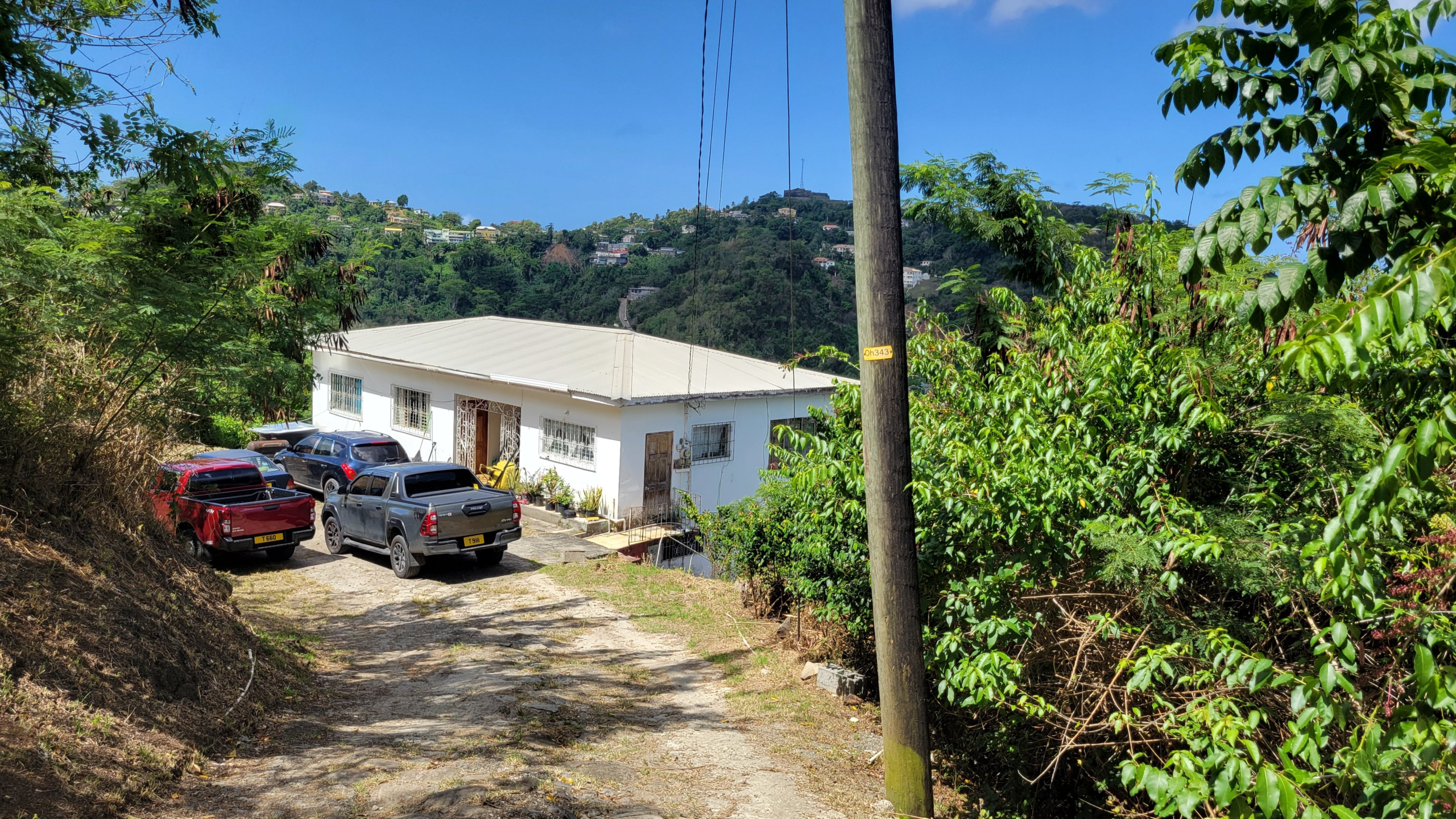Mt. Parnassus Investment