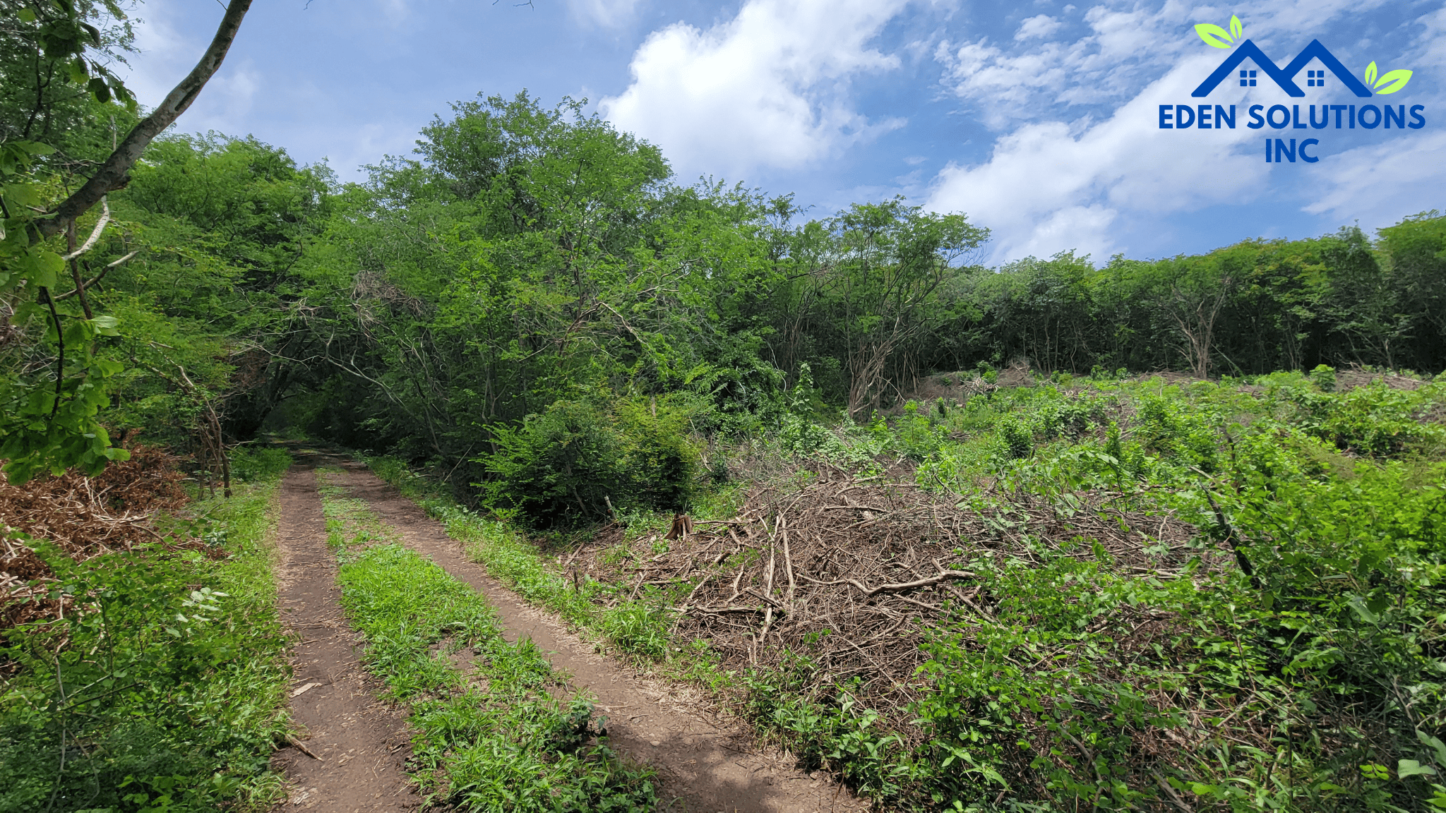 Golf Course 5 Acres