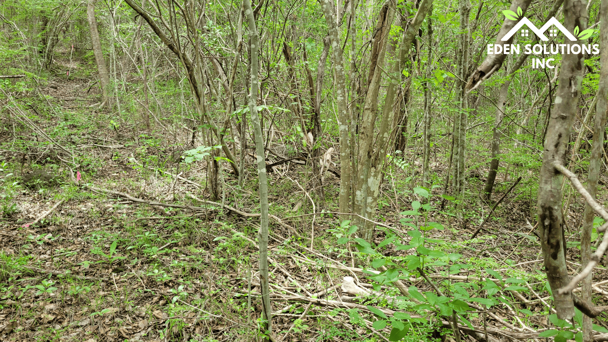 Golf Course 5 Acres