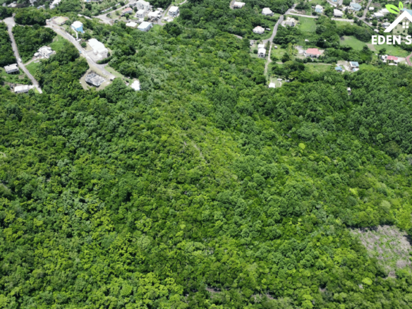 Golf Course 5 Acres