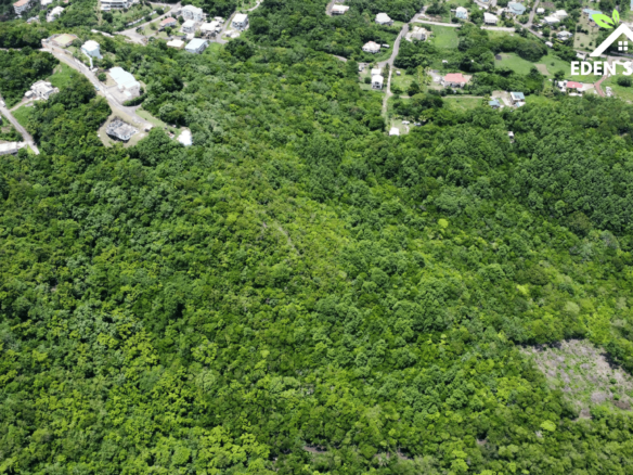 Golf Course 5 Acres